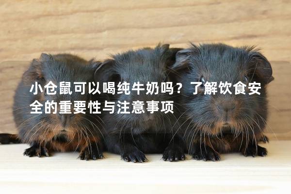 小仓鼠可以喝纯牛奶吗？了解饮食安全的重要性与注意事项