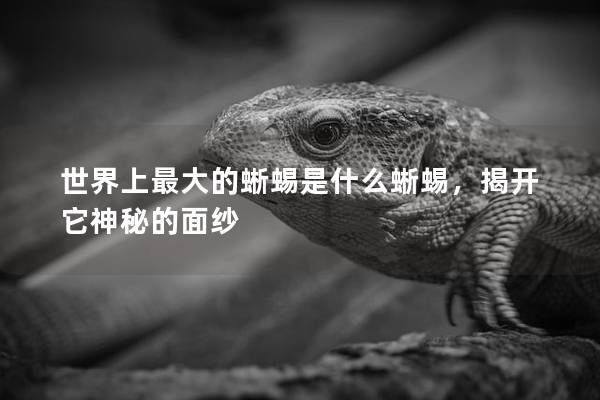 世界上最大的蜥蜴是什么蜥蜴，揭开它神秘的面纱