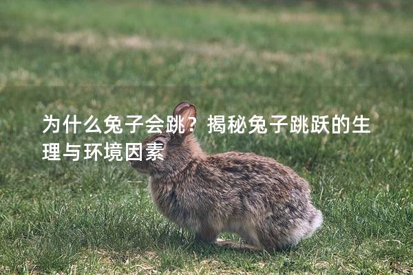 为什么兔子会跳？揭秘兔子跳跃的生理与环境因素