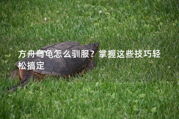 方舟乌龟怎么驯服？掌握这些技巧轻松搞定
