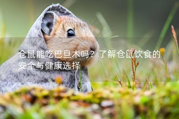 仓鼠能吃巴旦木吗？了解仓鼠饮食的安全与健康选择