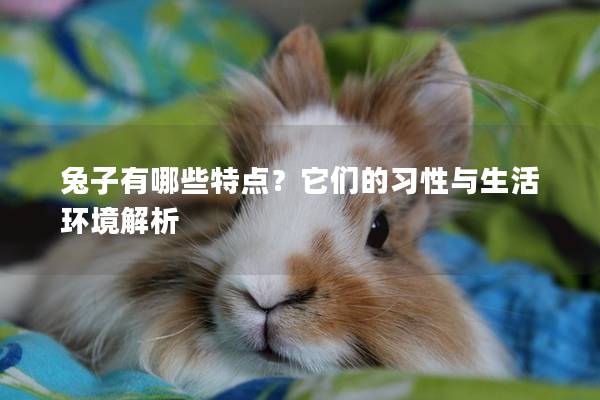 兔子有哪些特点？它们的习性与生活环境解析