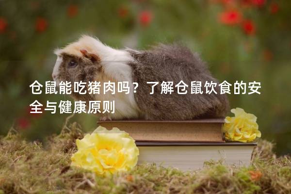 仓鼠能吃猪肉吗？了解仓鼠饮食的安全与健康原则