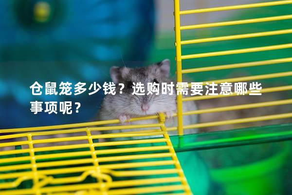 仓鼠笼多少钱？选购时需要注意哪些事项呢？