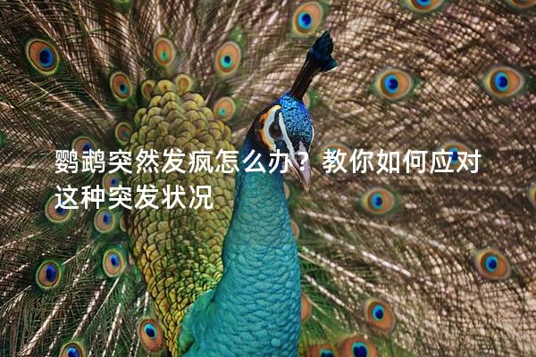 鹦鹉突然发疯怎么办？教你如何应对这种突发状况