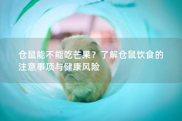 仓鼠能不能吃芒果？了解仓鼠饮食的注意事项与健康风险