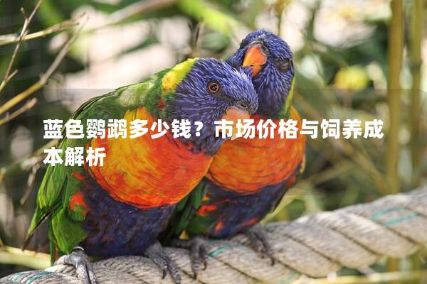 蓝色鹦鹉多少钱？市场价格与饲养成本解析