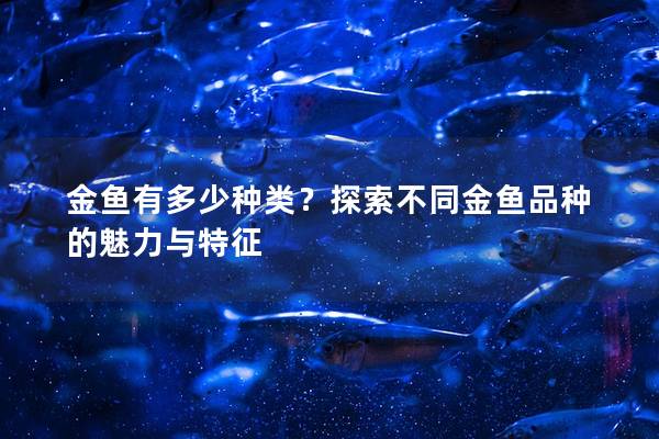 金鱼有多少种类？探索不同金鱼品种的魅力与特征