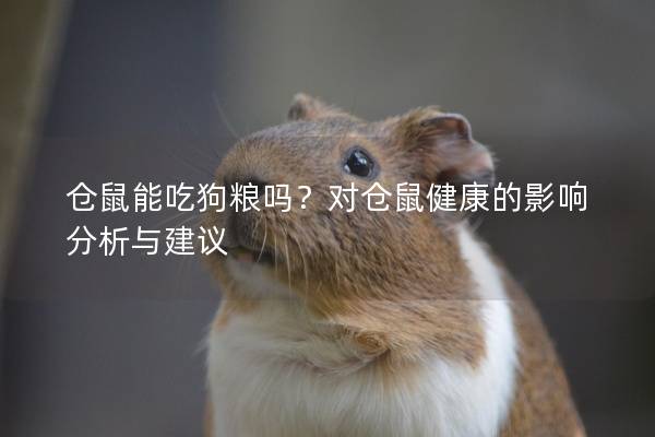 仓鼠能吃狗粮吗？对仓鼠健康的影响分析与建议