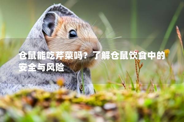 仓鼠能吃芹菜吗？了解仓鼠饮食中的安全与风险