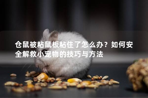 仓鼠被粘鼠板粘住了怎么办？如何安全解救小宠物的技巧与方法