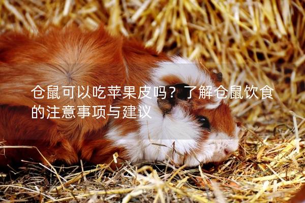 仓鼠可以吃苹果皮吗？了解仓鼠饮食的注意事项与建议