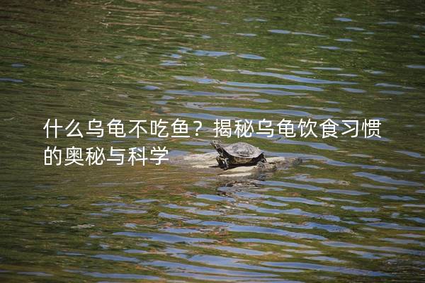 什么乌龟不吃鱼？揭秘乌龟饮食习惯的奥秘与科学