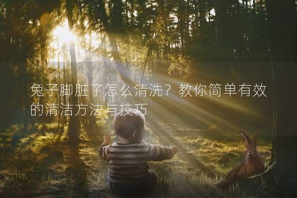 兔子脚脏了怎么清洗？教你简单有效的清洁方法与技巧