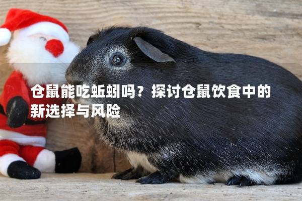 仓鼠能吃蚯蚓吗？探讨仓鼠饮食中的新选择与风险
