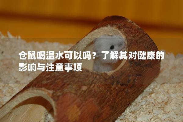 仓鼠喝温水可以吗？了解其对健康的影响与注意事项