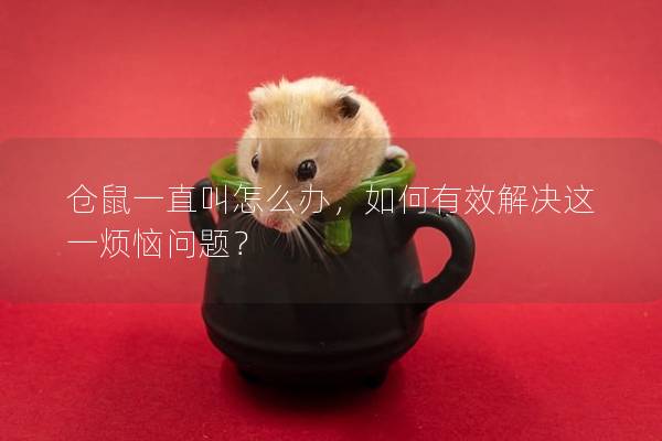 仓鼠一直叫怎么办，如何有效解决这一烦恼问题？