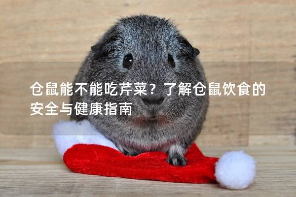 仓鼠能不能吃芹菜？了解仓鼠饮食的安全与健康指南