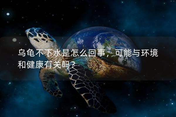 乌龟不下水是怎么回事，可能与环境和健康有关吗？