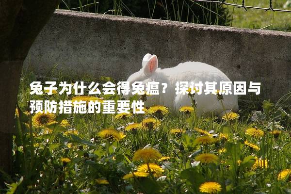 兔子为什么会得兔瘟？探讨其原因与预防措施的重要性