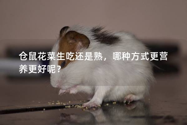 仓鼠花菜生吃还是熟，哪种方式更营养更好呢？