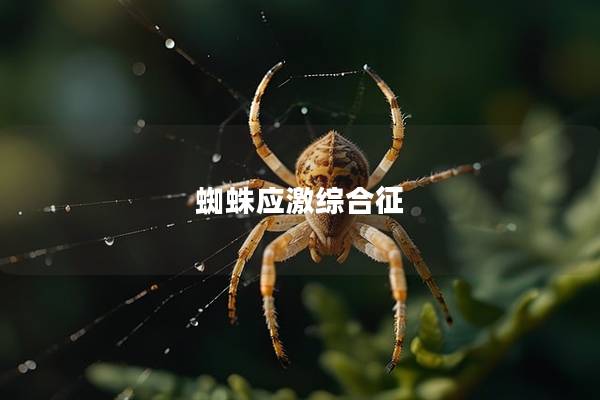 蜘蛛应激综合征