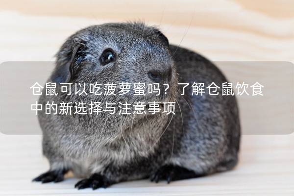 仓鼠可以吃菠萝蜜吗？了解仓鼠饮食中的新选择与注意事项