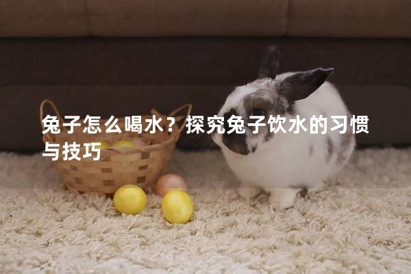 兔子怎么喝水？探究兔子饮水的习惯与技巧