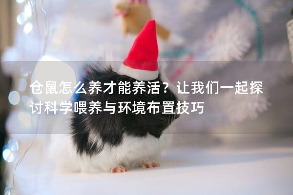 仓鼠怎么养才能养活？让我们一起探讨科学喂养与环境布置技巧