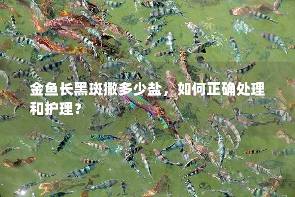 金鱼长黑斑撒多少盐，如何正确处理和护理？