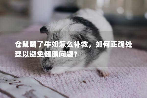仓鼠喝了牛奶怎么补救，如何正确处理以避免健康问题？