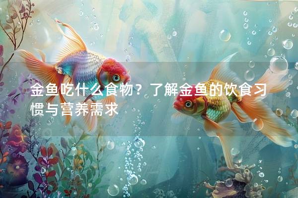 金鱼吃什么食物？了解金鱼的饮食习惯与营养需求