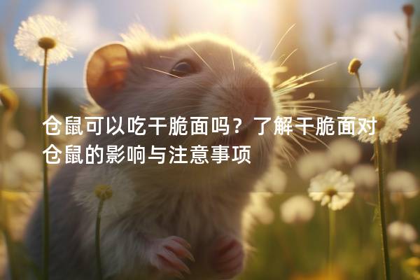 仓鼠可以吃干脆面吗？了解干脆面对仓鼠的影响与注意事项