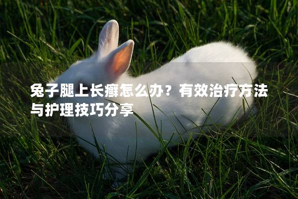 兔子腿上长癣怎么办？有效治疗方法与护理技巧分享