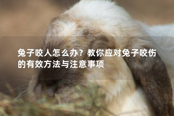 兔子咬人怎么办？教你应对兔子咬伤的有效方法与注意事项