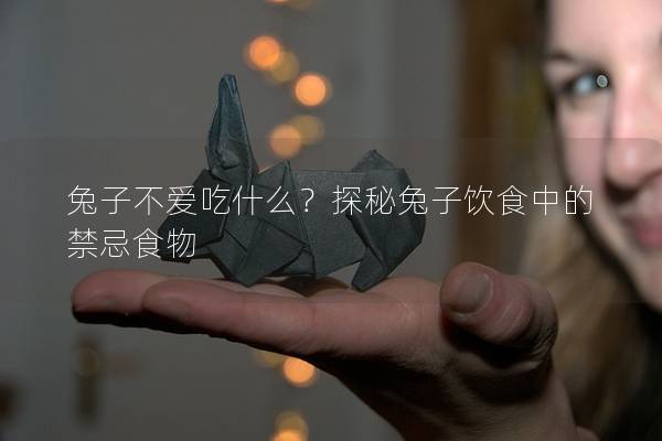 兔子不爱吃什么？探秘兔子饮食中的禁忌食物