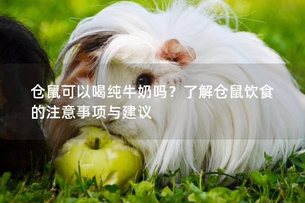 仓鼠可以喝纯牛奶吗？了解仓鼠饮食的注意事项与建议