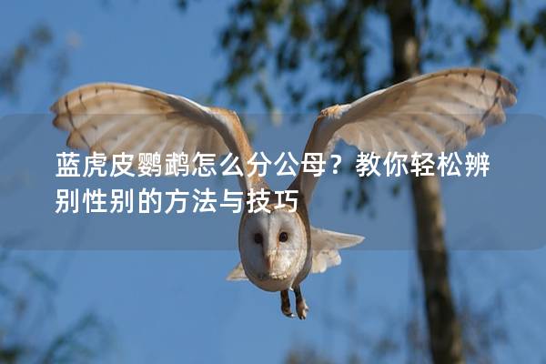 蓝虎皮鹦鹉怎么分公母？教你轻松辨别性别的方法与技巧