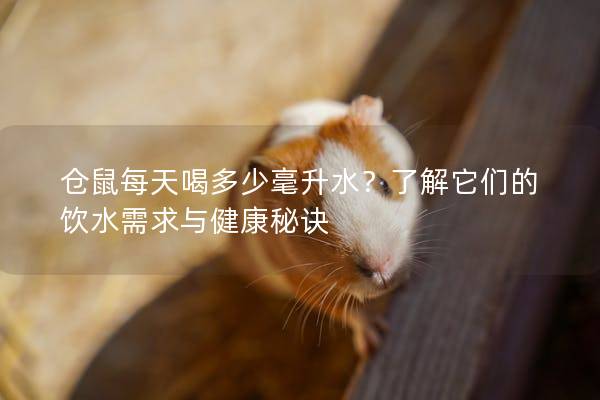 仓鼠每天喝多少毫升水？了解它们的饮水需求与健康秘诀