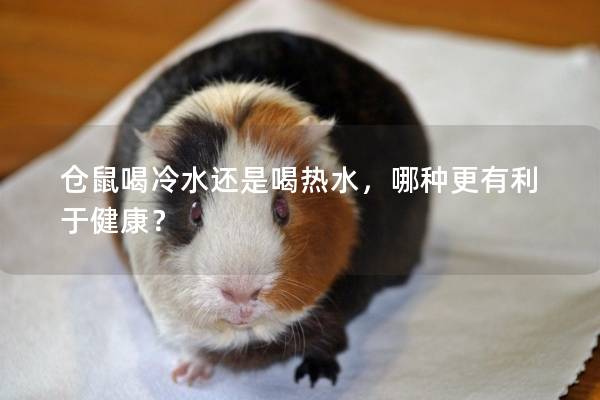 仓鼠喝冷水还是喝热水，哪种更有利于健康？