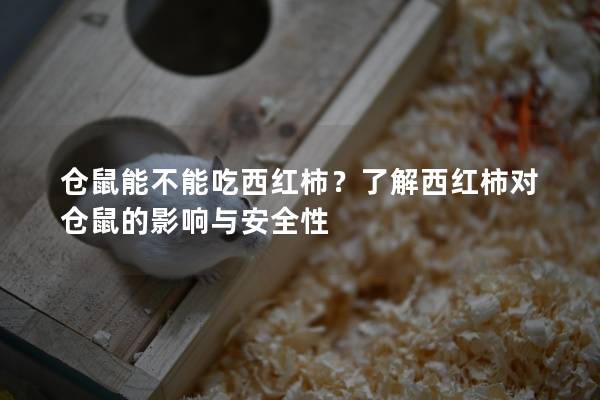 仓鼠能不能吃西红柿？了解西红柿对仓鼠的影响与安全性