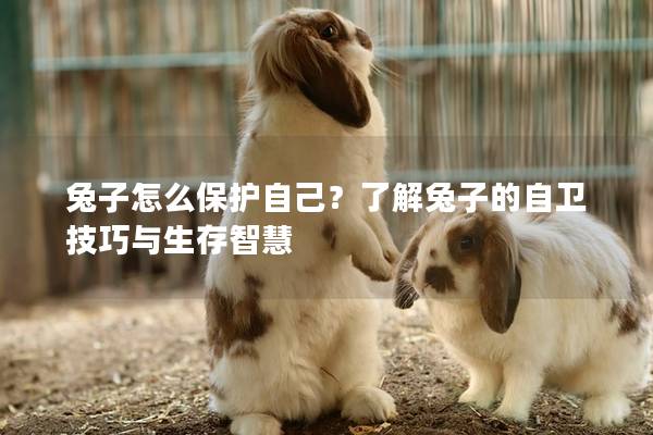 兔子怎么保护自己？了解兔子的自卫技巧与生存智慧