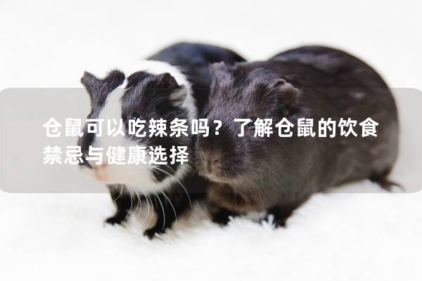 仓鼠可以吃辣条吗？了解仓鼠的饮食禁忌与健康选择