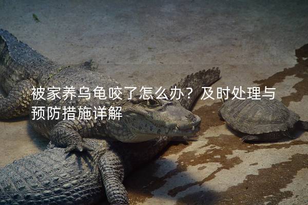 被家养乌龟咬了怎么办？及时处理与预防措施详解