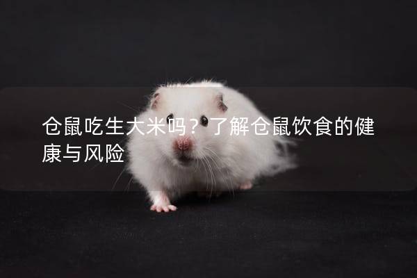 仓鼠吃生大米吗？了解仓鼠饮食的健康与风险