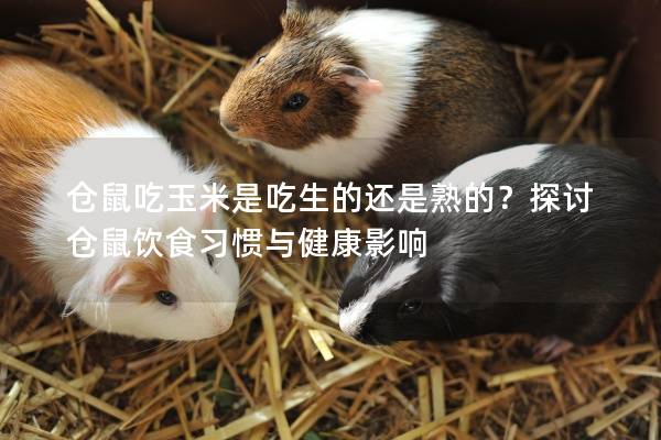 仓鼠吃玉米是吃生的还是熟的？探讨仓鼠饮食习惯与健康影响