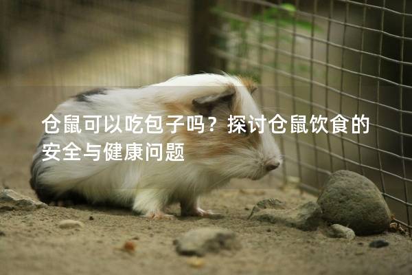 仓鼠可以吃包子吗？探讨仓鼠饮食的安全与健康问题
