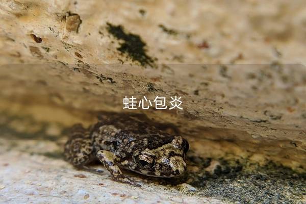 蛙心包炎