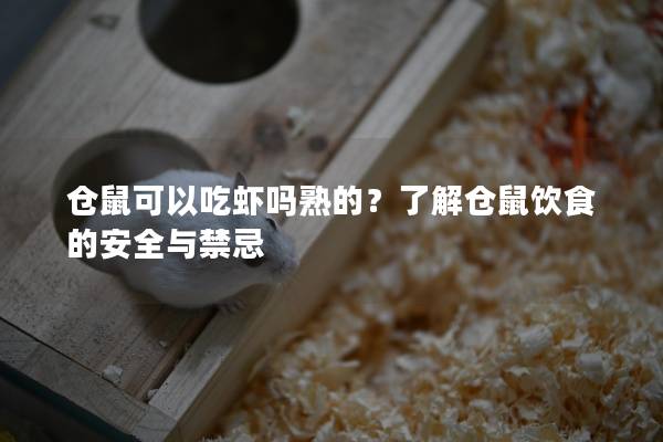 仓鼠可以吃虾吗熟的？了解仓鼠饮食的安全与禁忌