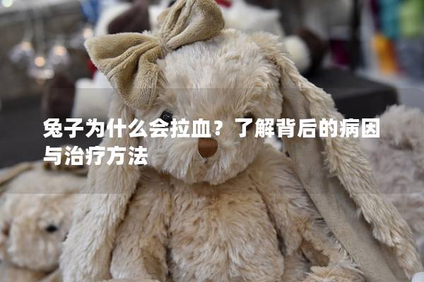兔子为什么会拉血？了解背后的病因与治疗方法